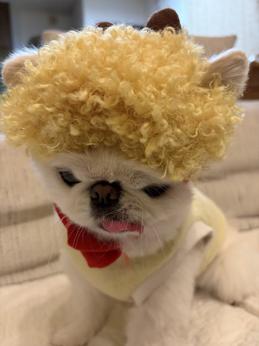 oonoaki (@boo90771163) / Posts / X