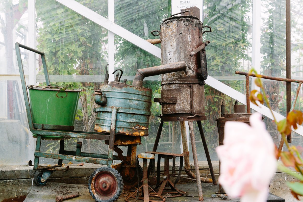 De Historische Tuin is in de wintermaanden misschien gesloten, maar stilzitten? Zeker niet! 🌱 In februari kun je er van alles beleven: leer de fijne kneepjes tijdens een snoeicursus, wandel mee met de Snertwandeling 🥣 of schuif aan voor de film van de maand. 🎬

📷 Eelco Roos