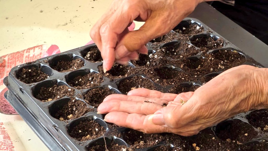 Val_Fabian's tweet photo. Ayer sembramos 1500 semillas de espinaca y acelga🥬 junto a nuestros amigos de #CEAMA🌱.

Muy pronto crecerán y se transformarán en plantines🌿 que formarán parte de las #HuertasDeLaCiudad🍅🥦🌸.
La unión, el encuentro y las ganas de aprender son lo que nos hace fuertes día a día.
Porque cuando sembramos juntos, también cultivamos inclusión, valores y futuro.💫

Sigamos trabajando en equipo🙌, en comunidad y con amor.❤️🌿