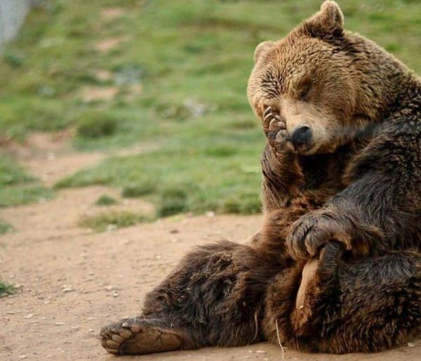 Ben Grabenbaer™ tweet media