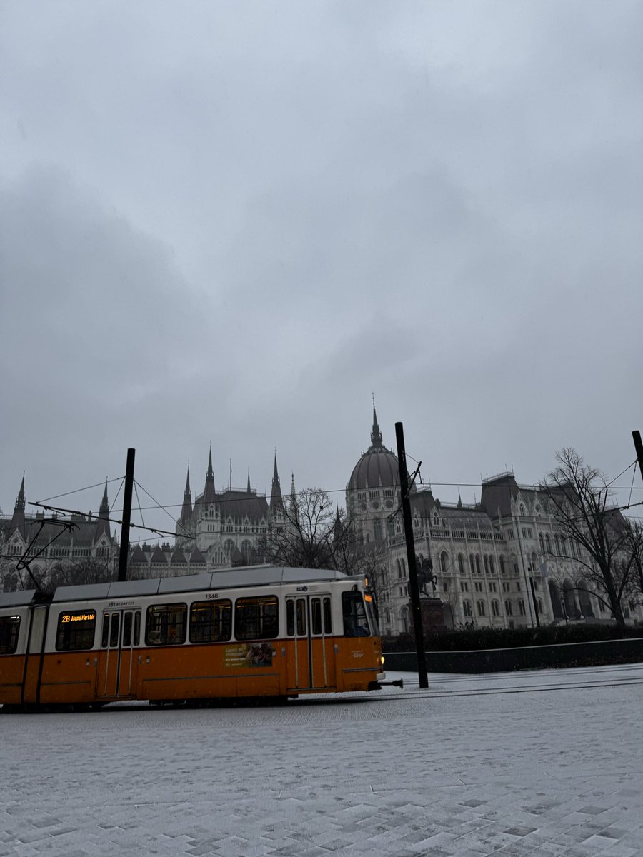 lillydorothy tweet media