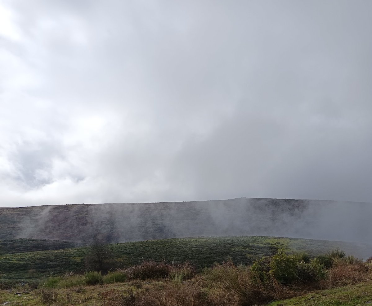 ☄️ (@ryuukvindr) on Twitter photo 