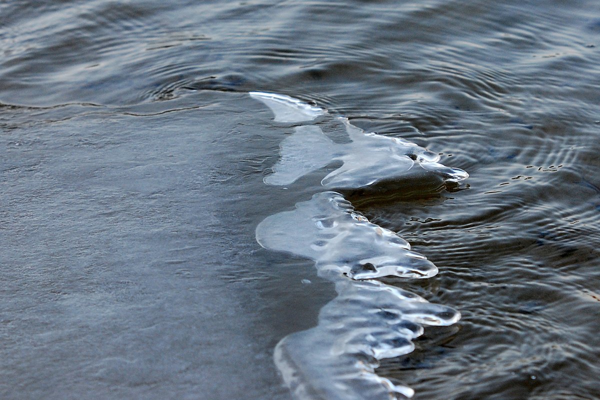 natuurijswijzer tweet media