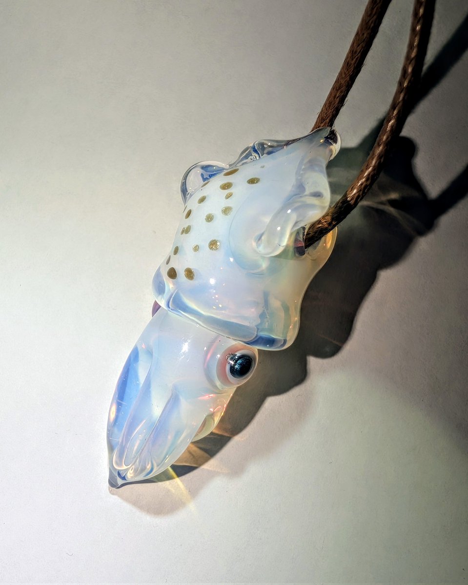 イカ
新しくなりました。