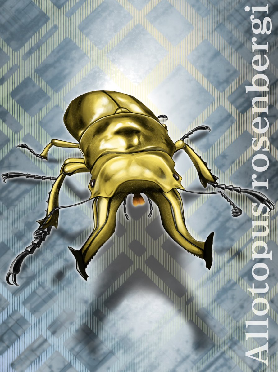 極限甲虫 ExtremeTourname (@ExtremeTourname) / Posts / X