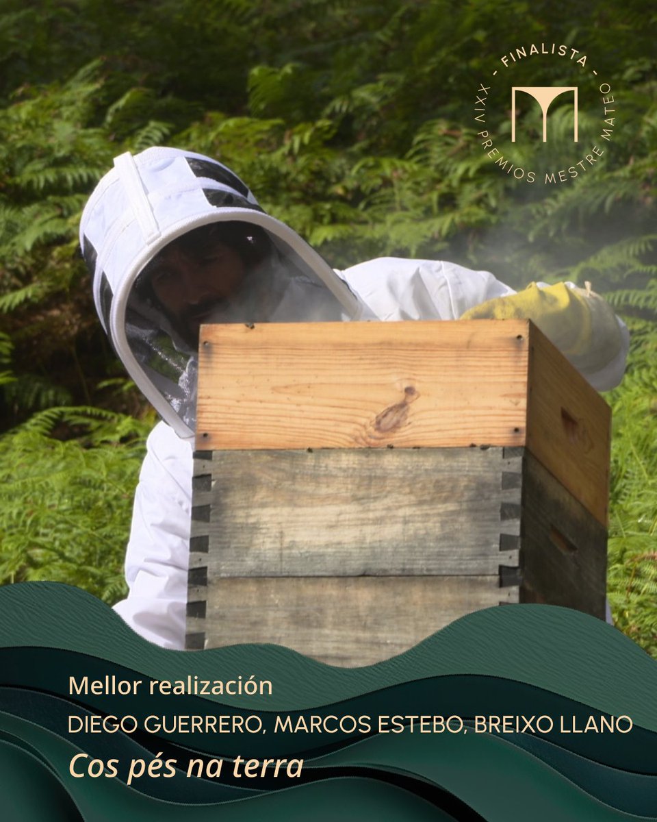 Academia Galega do Audiovisual tweet media