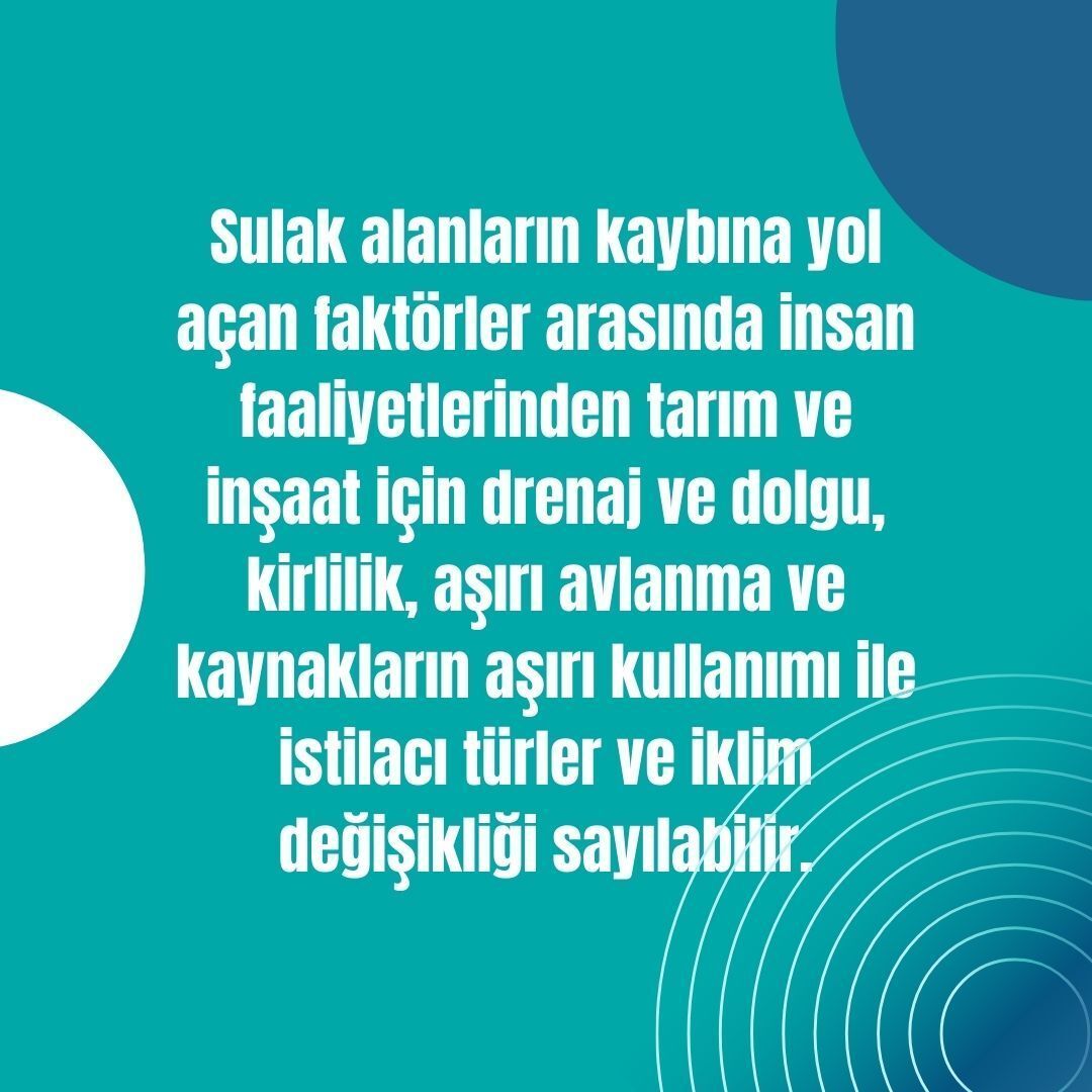 02 Şubat | Dünya Sulak Alanlar Günü
Sulak alanlar;
🌿 su döngüsünün korunmasında,
🌿 biyo çeşitliliğin sürdürülmesinde,
🌿 milyonlarca insanın geçiminde
hayati bir role sahip.
Sulak alanları korumak;
doğayı, yaşamı ve geleceği korumaktır.

🌍💧 #DünyaSulakAlanlarGünü
#İklimKrizi