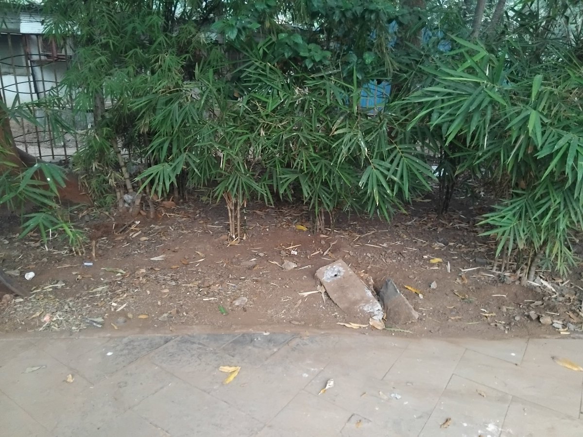 Nirav_nh's tweet photo. @mybmcWardN 

Dr. keshav baliram hedgewar udyan, Nathpai Nagar, Ghatkopar East 

Benches are missing since a month... old benches evacuated but not replaced by new ones... Great hardships to Senior Citizens https://t.co/IuVgiJbb0m
