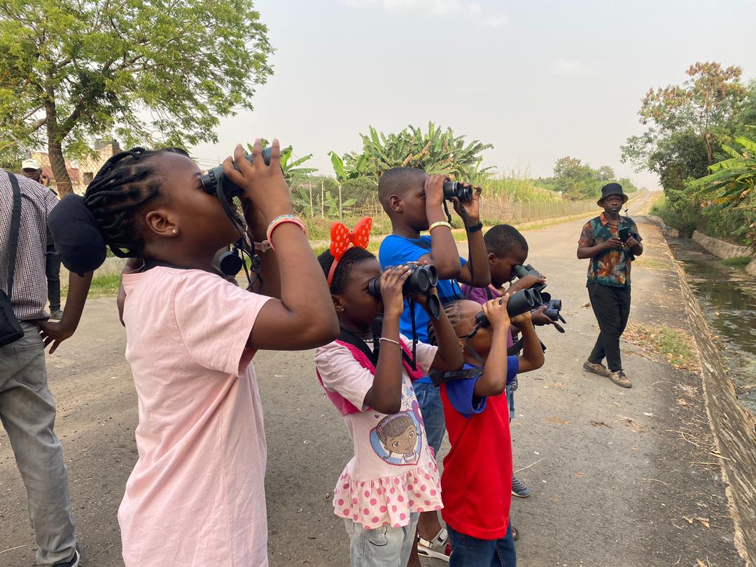 IITA Forest Center tweet media