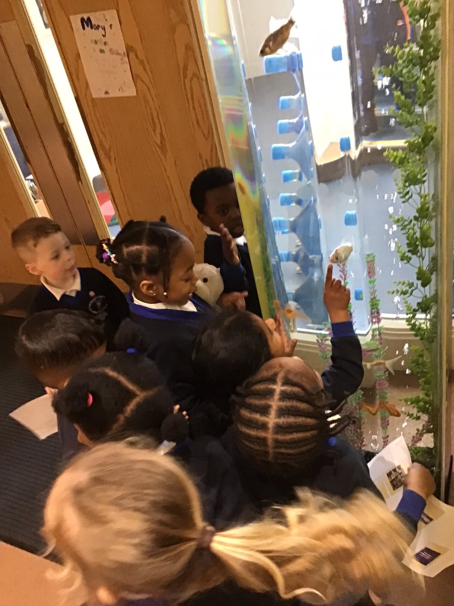 St Mary's RC Primary tweet media