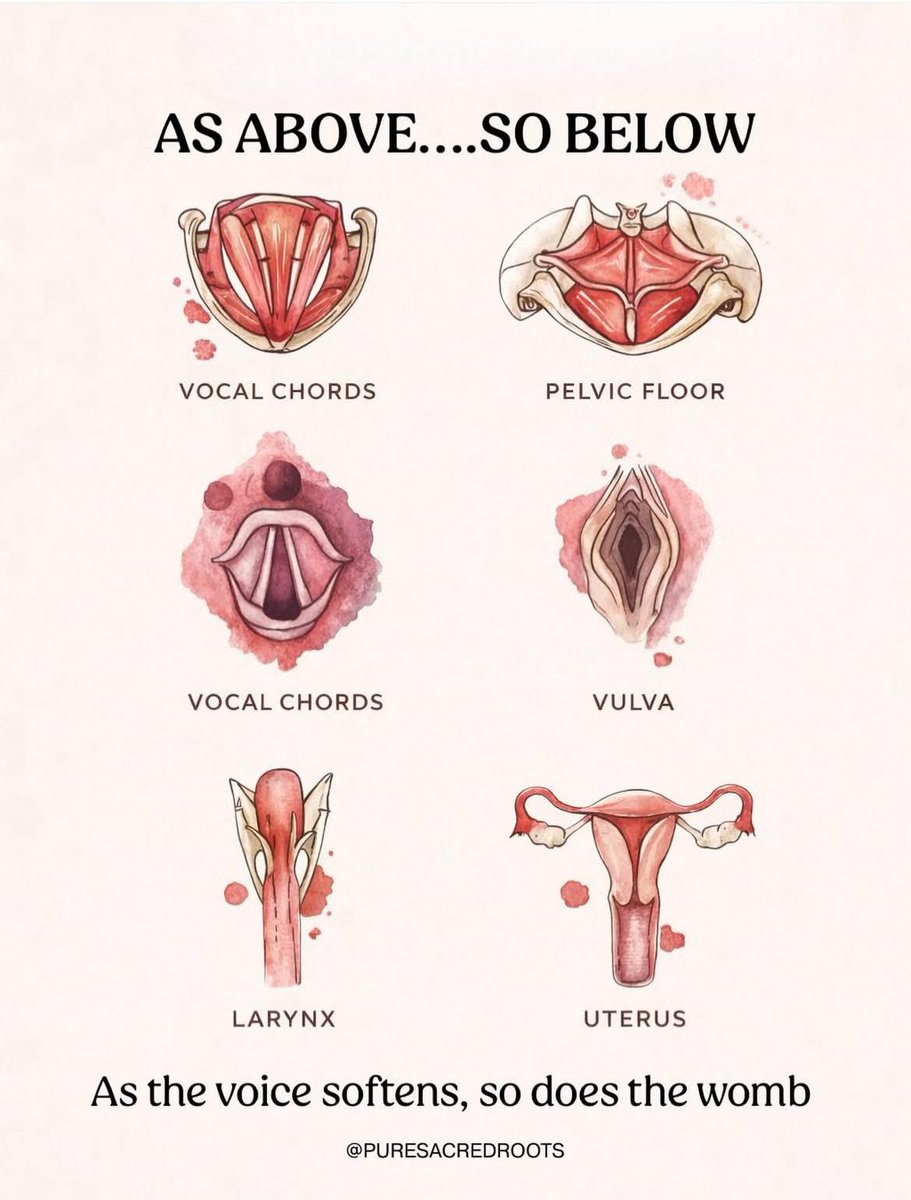 🧬Maxpein🧬 (@maximumpain333) on Twitter photo 