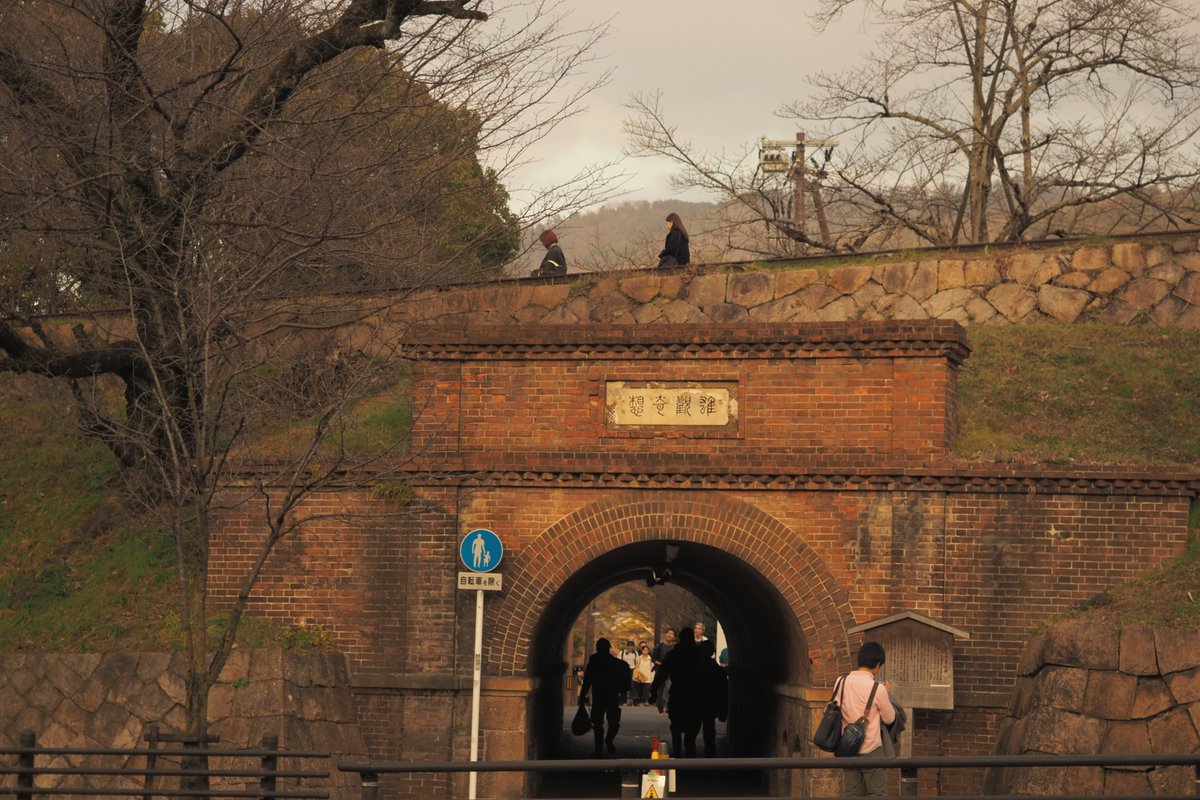 VERISUKE0805's tweet image. The day I walked around Kyoto