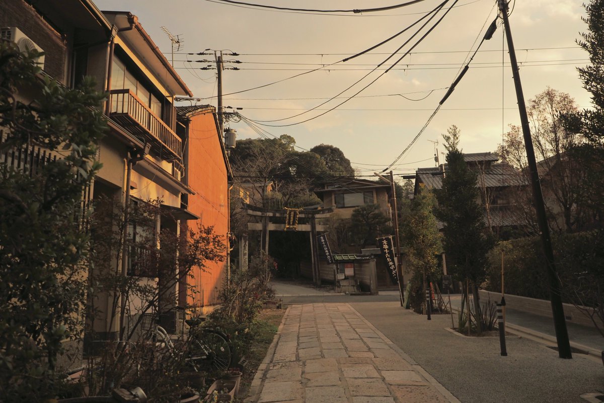 VERISUKE0805's tweet image. The day I walked around Kyoto