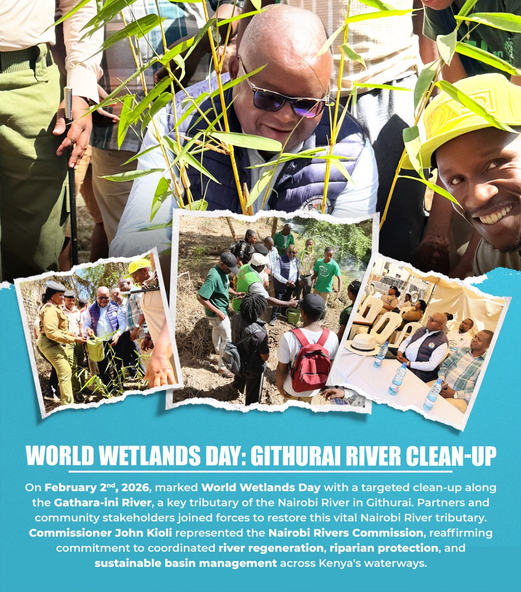 Green Africa Foundation tweet media