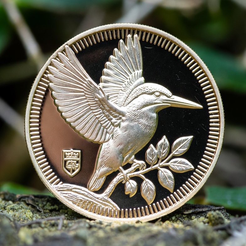 BirdCoinFactory's tweet image. $KingfisherCoin (カワセミコイン)を2/4日23:00(JST)にローンチします🪙

ローンチする度に、1名に20＄分の #solana を #プレゼント 🎁

⚠️条件⚠️
フォロー✅いいね👍RT🔄して、
好きな鳥とその理由ををリプ欄に‼️

完全無差別抽選になります！

telegramもご参加ください✌️
t.me/BirdCoinFactor…