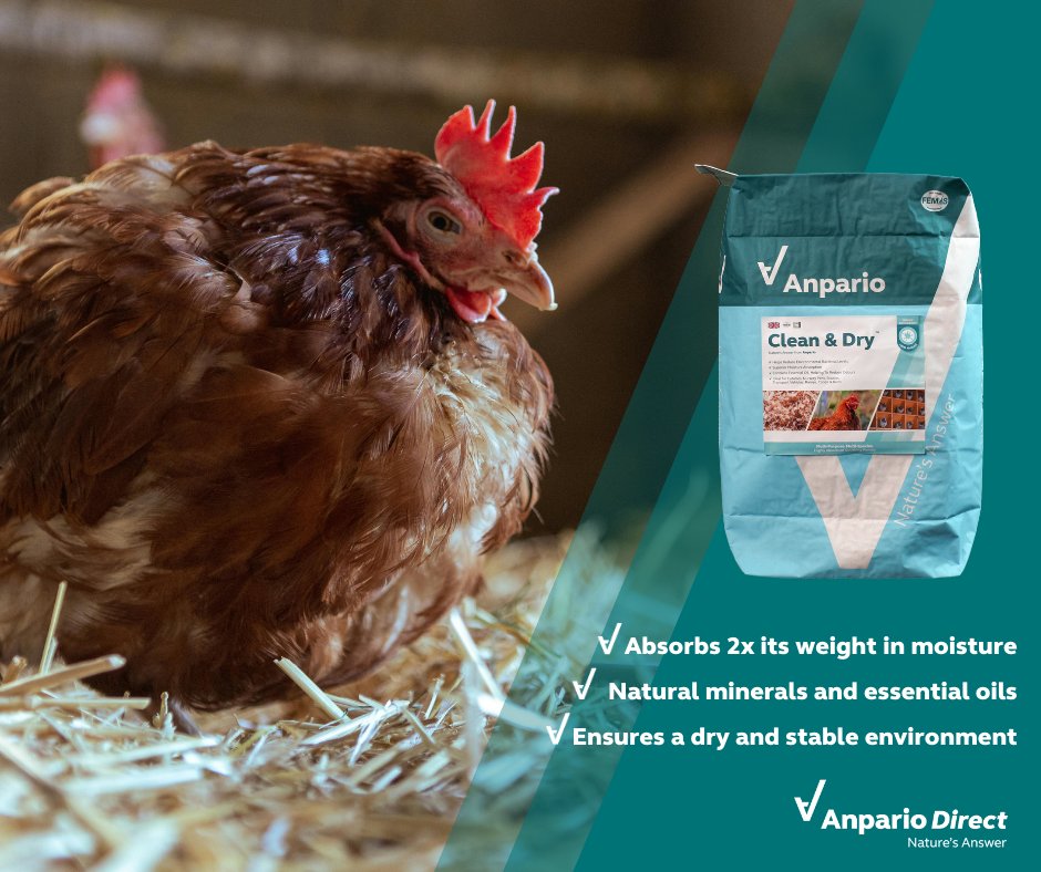 AnparioDirect's tweet photo. It’s been a wet and rainy start to the year☔

Clean &amp; Dry helps maintain a fresh, dry environment for your animals. It supports a clean, comfortable space using natural minerals and essential oils.

Shop now: https://t.co/uNNrsot5Jj

#NaturesAnswer https://t.co/UlPhYCsvZd