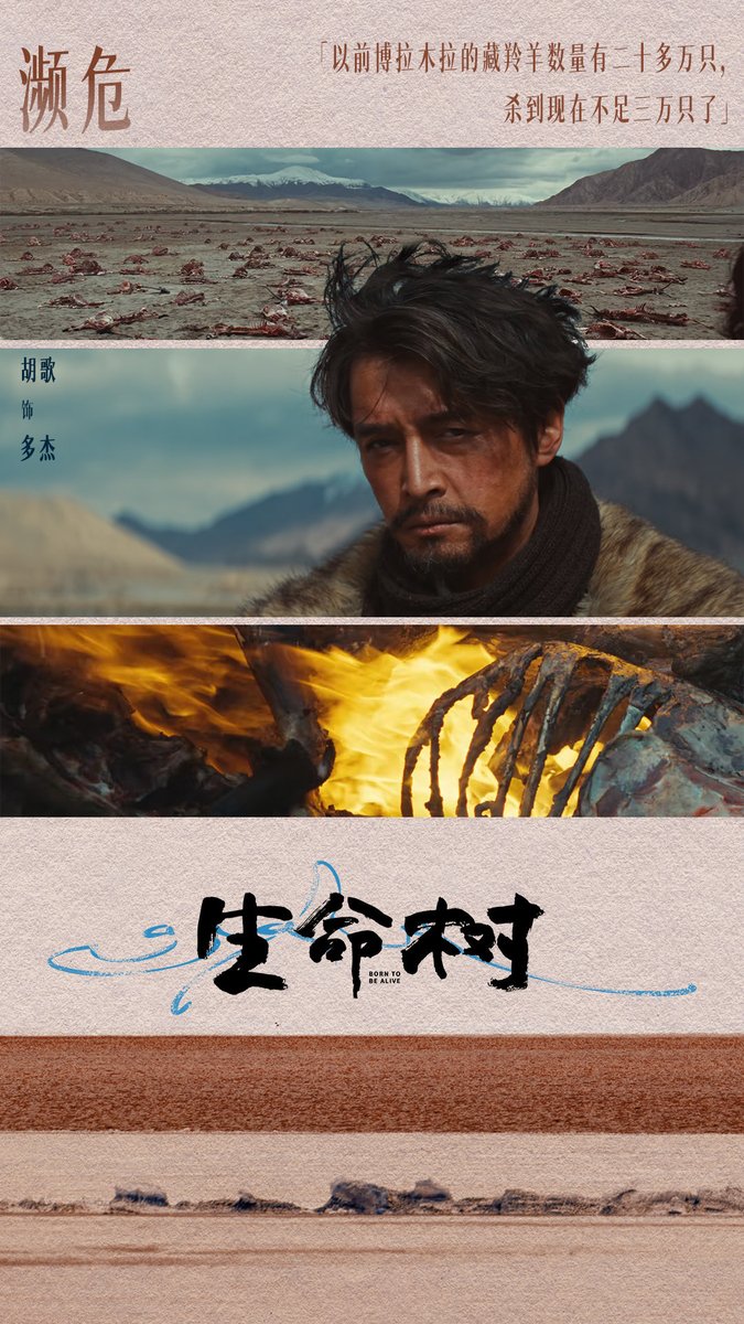 cdrama_update's tweet photo. #HuGe's studio shares pics for #BornToBeAlive 

#HugoHu #胡歌 
#生命树 #ต้นไม้แห่งชีวิต https://t.co/sWuY0n0Bgv