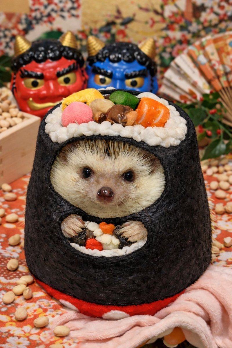 恵方巻き。つきみ大福🦔 #節分の日 #ハリネズミのいる暮らし
