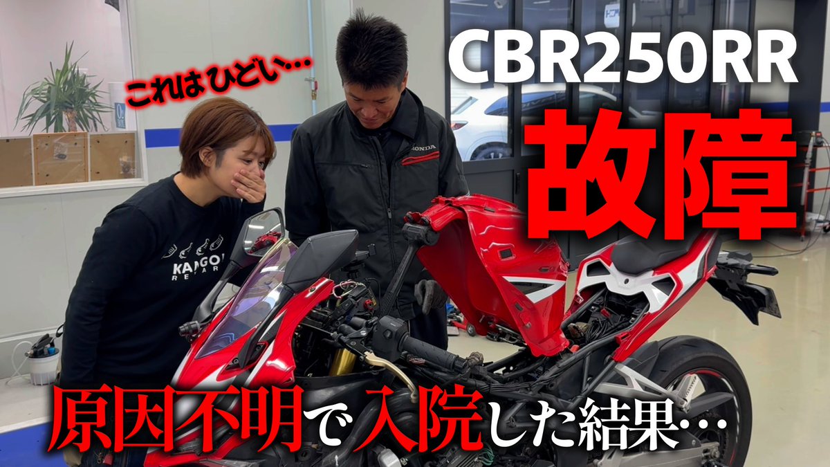 おーちゃん@わかめ (@4s9BZarlBi6D7lb) / Posts / X