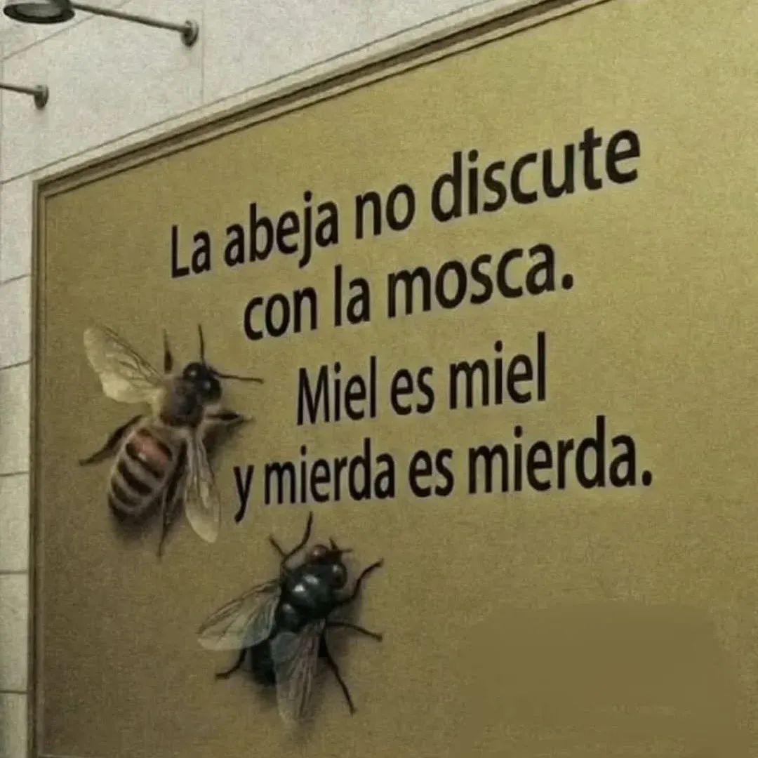 Buenos días Argentina. El país que siempre elige ser mosca. Ojalá algún día seamos abejas. Abrazo para todos