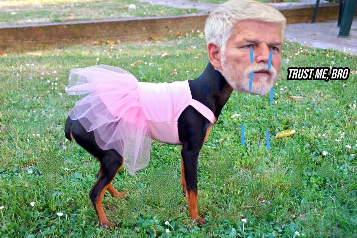 Třesoucím se hlasem oznámí, že jeden z nejvýše postavených lidí ve státě ho vydírá.
Zaměstná tím elitní detektivy z Národní centraly proti organizovanému zločinu.

Po tak závažném a bezprecedentním trestném činu vůči "hlavě" státu v klidu odjíždí na dovolenou dělat si selfíčka.