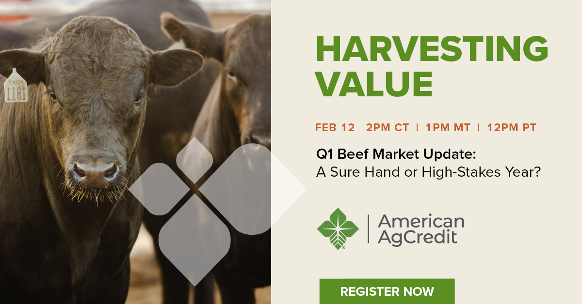 American AgCredit tweet media