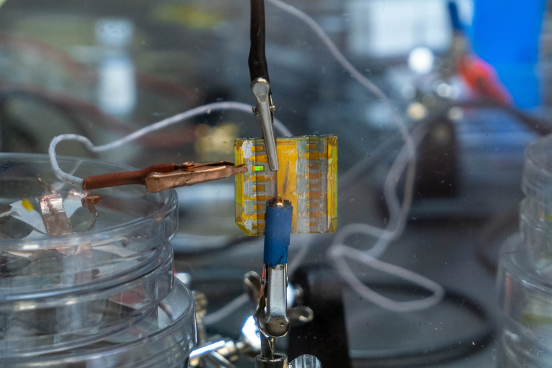 ITMO University tweet media