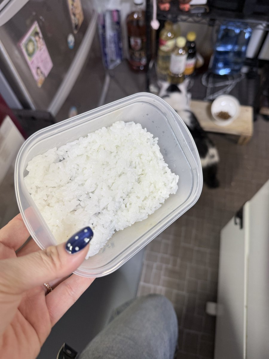 55cha's tweet image. 私の弁当の米薄すぎ問題