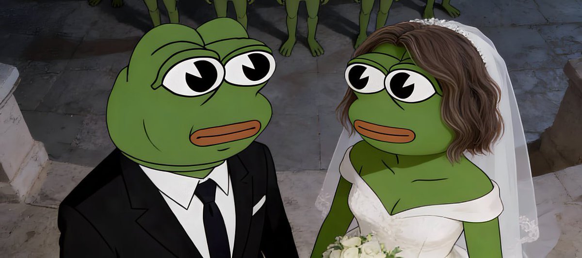 AARON 🐸 tweet media