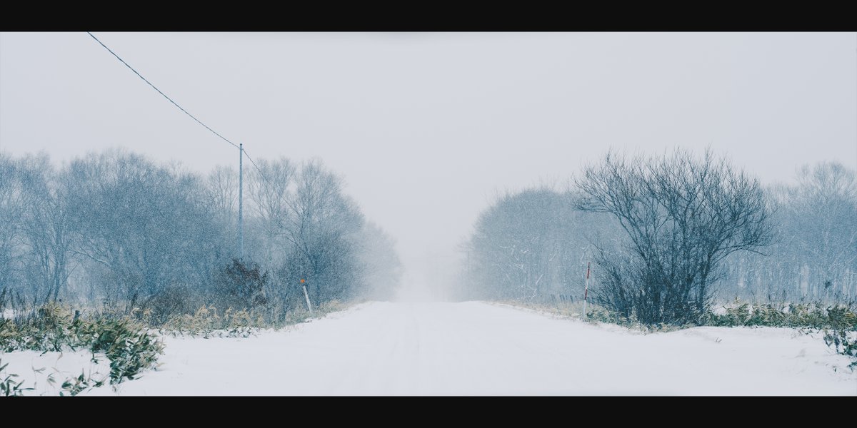 ひなた tweet media