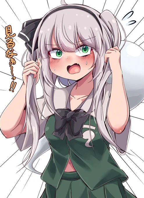 ツインテ妖夢ちゃん