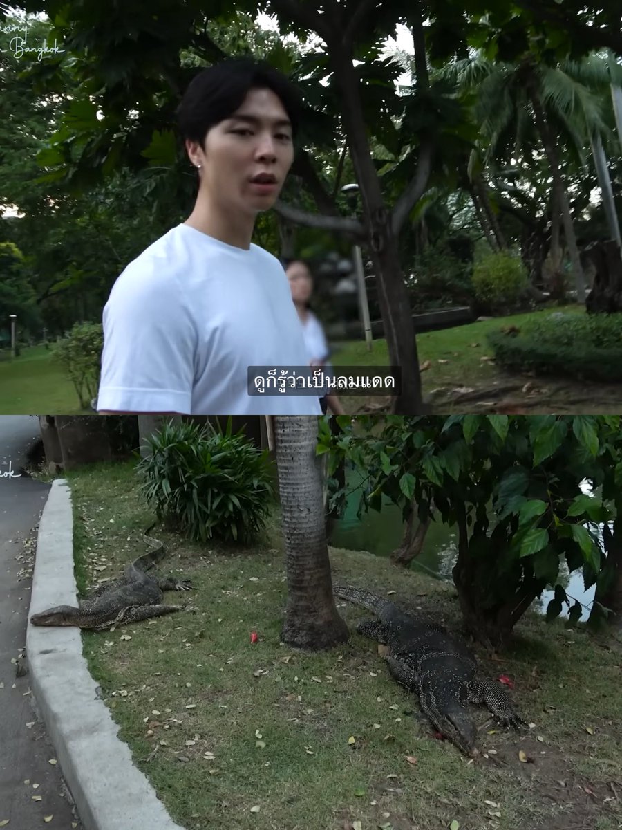 americanobear's tweet image. กูจะรั่วพี่จอห์นเจอตัวเงินตัวทองนอนอยู่ ฮีบอกดูก็รู้ว่าเป็นลมแดด 5555555555555555555555555555555555 จะบ้าว่ะ