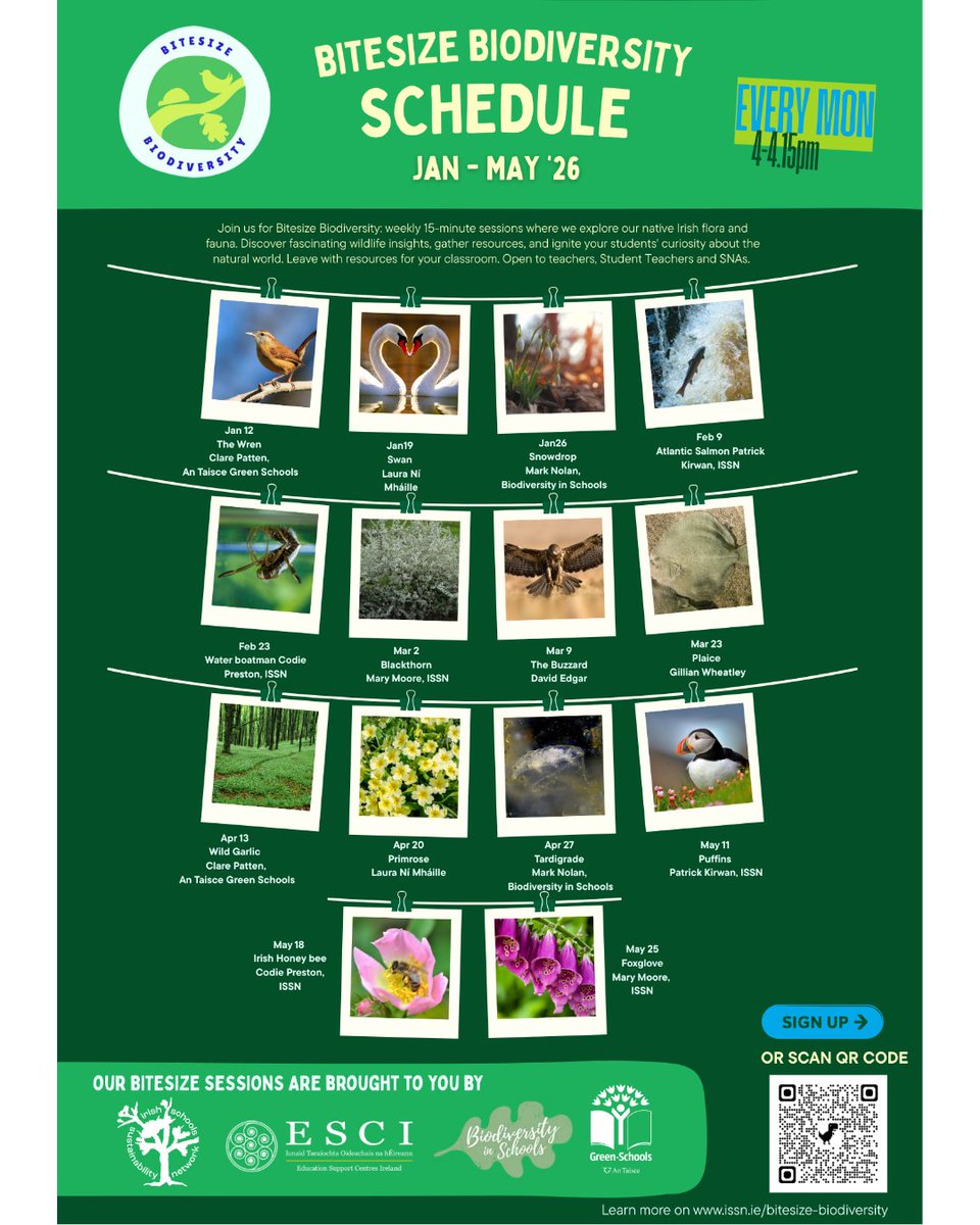 Galway EC tweet media