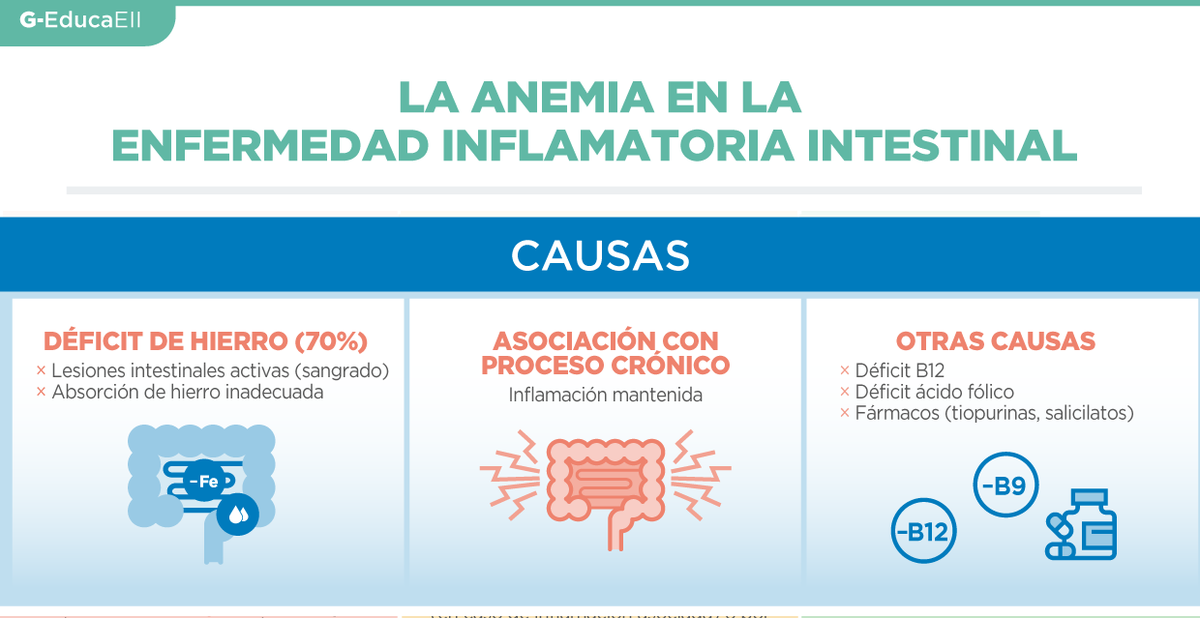G-EducaInflamatoria tweet media