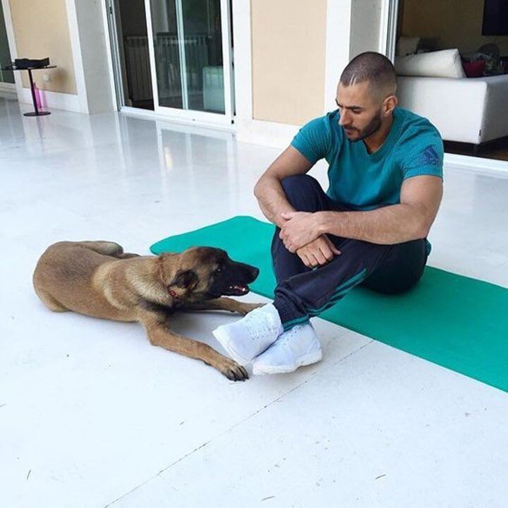 ASA_1927's tweet photo. “Someone who was raised with dogs cannot adapt to tigers.” https://t.co/ea6BYnPM70
