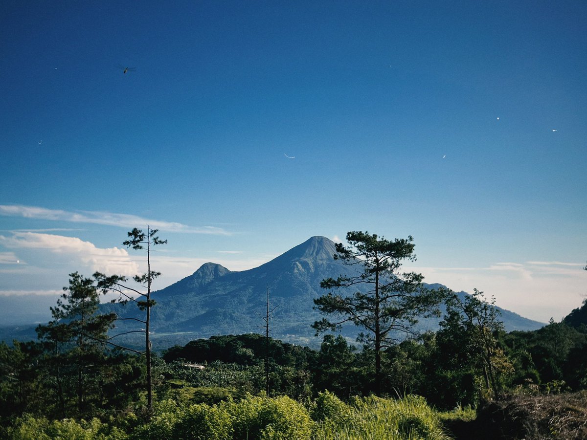 a🧃🦫 tweet media