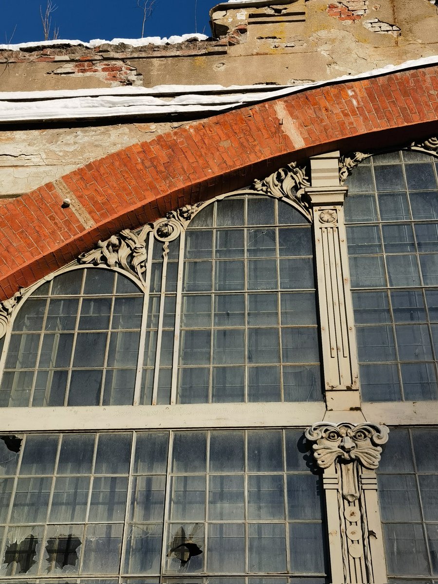 анна войзеш tweet media