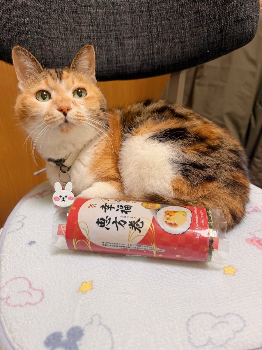 あめちゃん🐱 (@cocoakumikoda) / Posts / X