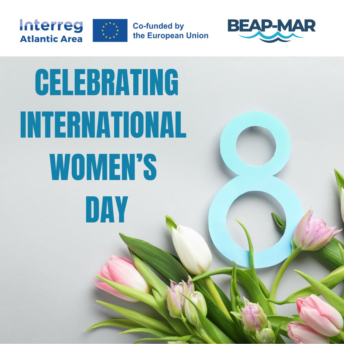 🌊 Ahead of this International Women's Day, we're celebrating the women driving innovation in marine biotechnology across the Atlantic Area.

Here's to the women making waves in marine biotech.💙