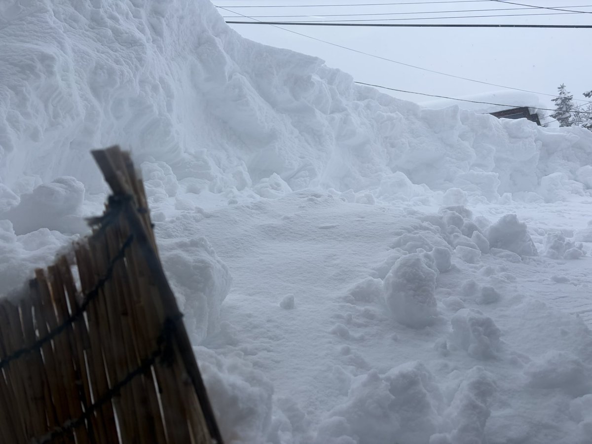 2階から少し外が見れるようになった。