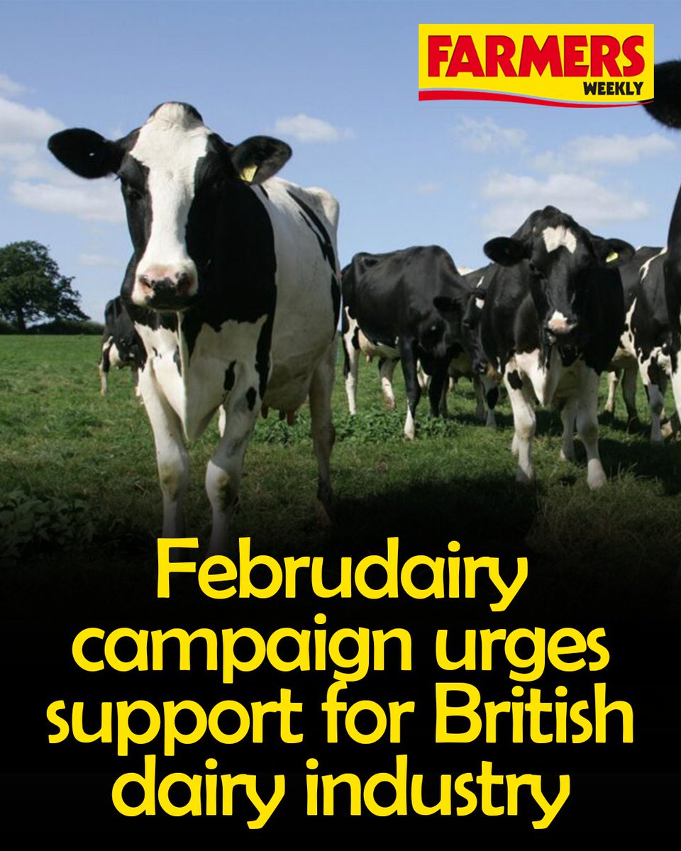 🐄🥛 The UK dairy industry has launched its annual #Februdairy social media campaign, urging consumers to champion British milk, cheese and dairy products at a time of intense pressure for dairy farmers.

READ MORE: ow.ly/bagt50Y83VC