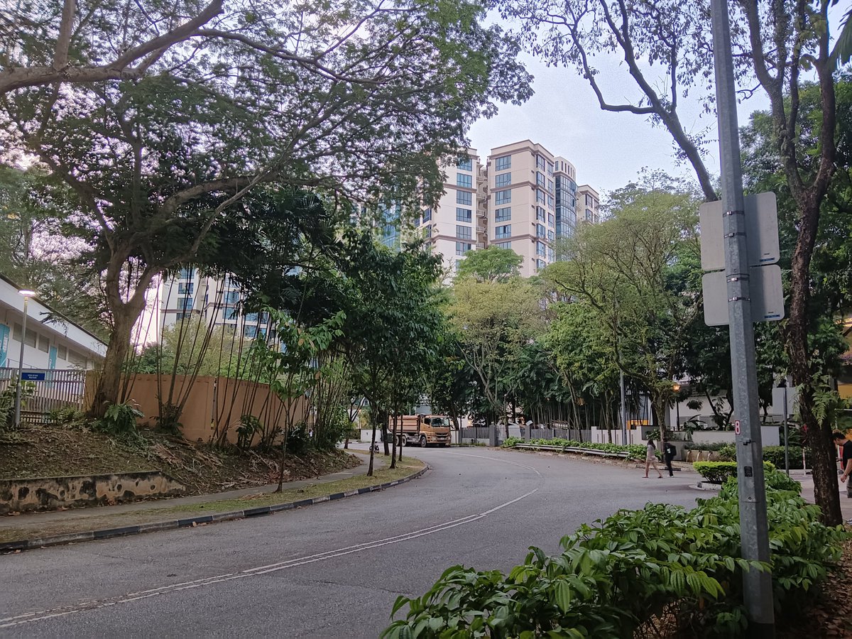 LI HONGQUN (@yeye_coder) on Twitter photo 