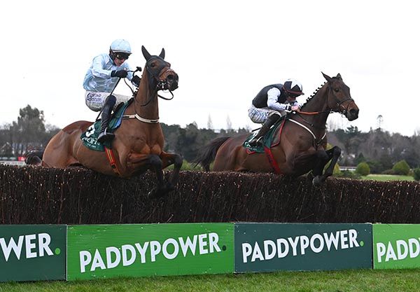 Halligan88's tweet photo. The whole situation with Romeo Coolio has me thinking, yet again, that the BHA's decision to get rid of the Turners Novices' Chase at Cheltenham was a massive mistake.

As novices, connections should have the option to choose any of the three races to see what they have with a view to their time in open company next season. This also lends itself to a build-up for the top novices now going to take on the best 2m chasers or the Gold Cup horses the following season, giving us the clashes and PR that have been missing for so long at Cheltenham.

Instead, the Ryanair Chase should have been scrapped from the Festival, and Fact To File, along with Gaelic Warrior, are prime examples of why the Ryanair Chase should not be at the Cheltenham Festival.

The Cheltenham Festival is meant to be where the best take on the best, and having a cop out open race defeats the purpose of what the Cheltenham Festival is supposed to be.

There is no Grade 1 middle-distance open hurdle at Cheltenham, so why is there a Grade 1 middle-distance open chase?

If you want to run Grade 1 over a middle distance in open company, then run in the Melling Chase at Aintree ✅
