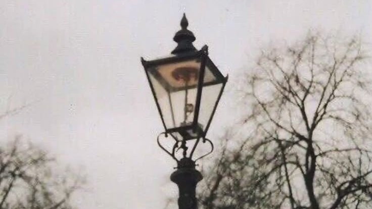 Welcome to Narnia tweet media