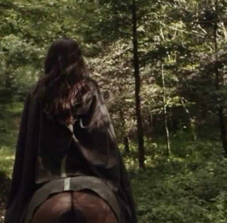 Welcome to Narnia tweet media