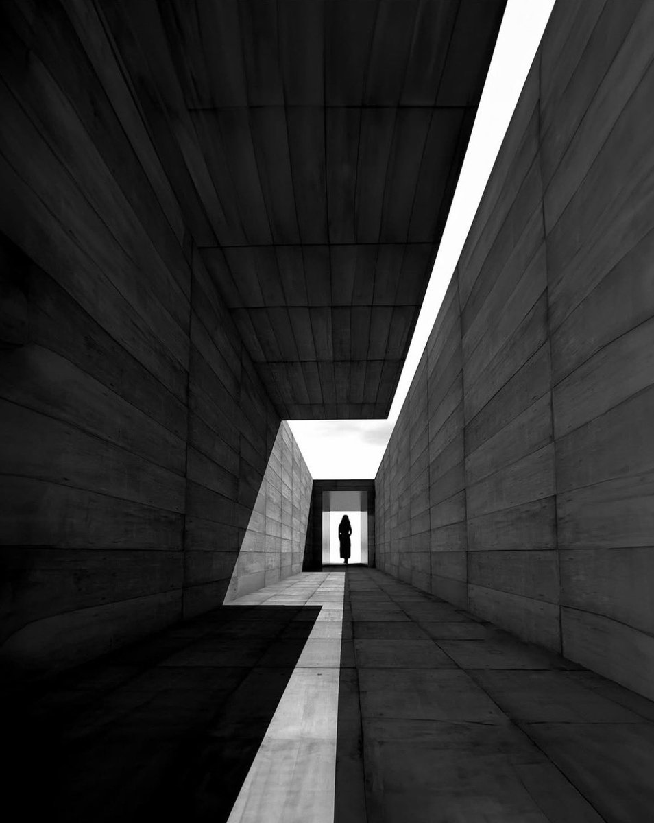 theglobalphotocommunity tweet media