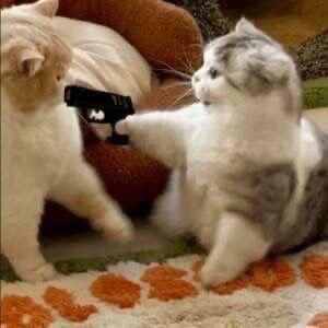 ervii's tweet image. 7h da manhã academia lotada