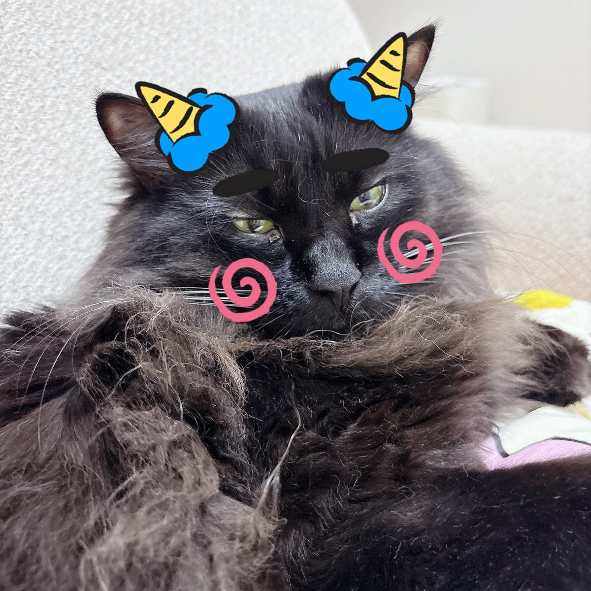 ジャックとダニエル tweet media