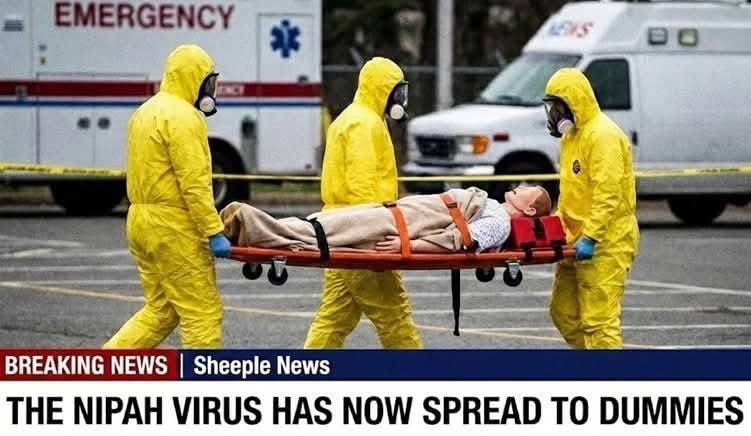 toobaffled's tweet photo. BREAKING: 

🚨 Nipah Virus now Spreading to Dummies https://t.co/JAVq6bQAUj