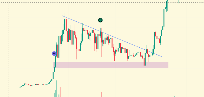 Entity145 tweet media